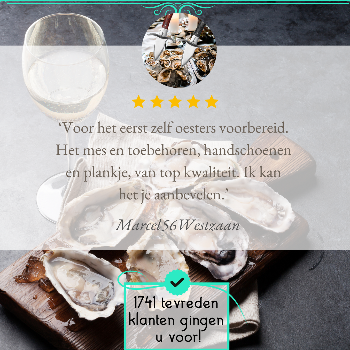 TEN® - Oestermes en Oesterhandschoenen met Oesterhouder - Bruin