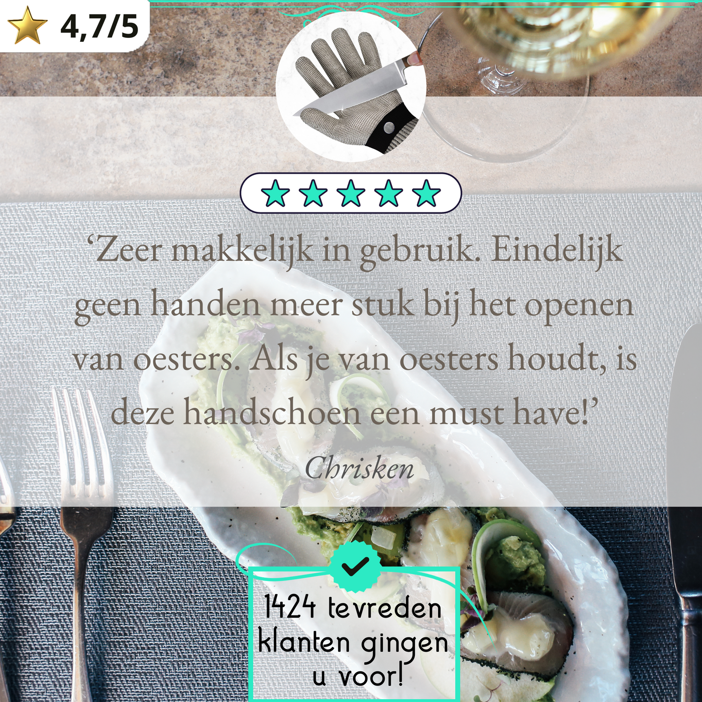 TEN® Oesterhandschoen met Binnenhandschoen van rvs