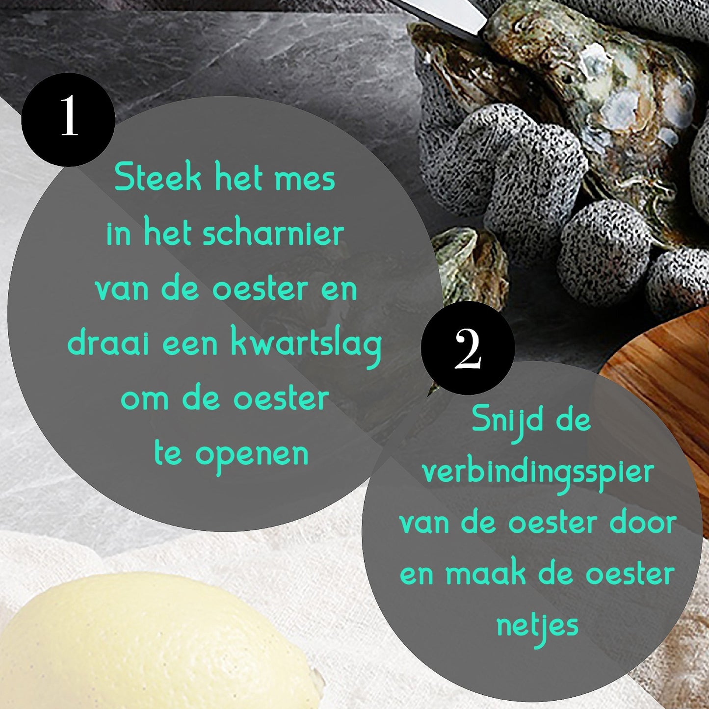 oestermes - oestermes handschoen - oestermes set - professioneel oestermes - oestermes kopen amsterdam - oesters openen oestermes - alternatief oestermes - oestermes graveren