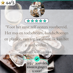 Review afbeelding