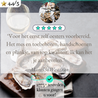 TEN® Oestermes Bruin - Perfect voor Oesters Openen - Tenkitchen.store